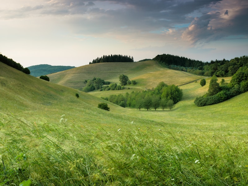 Background 10